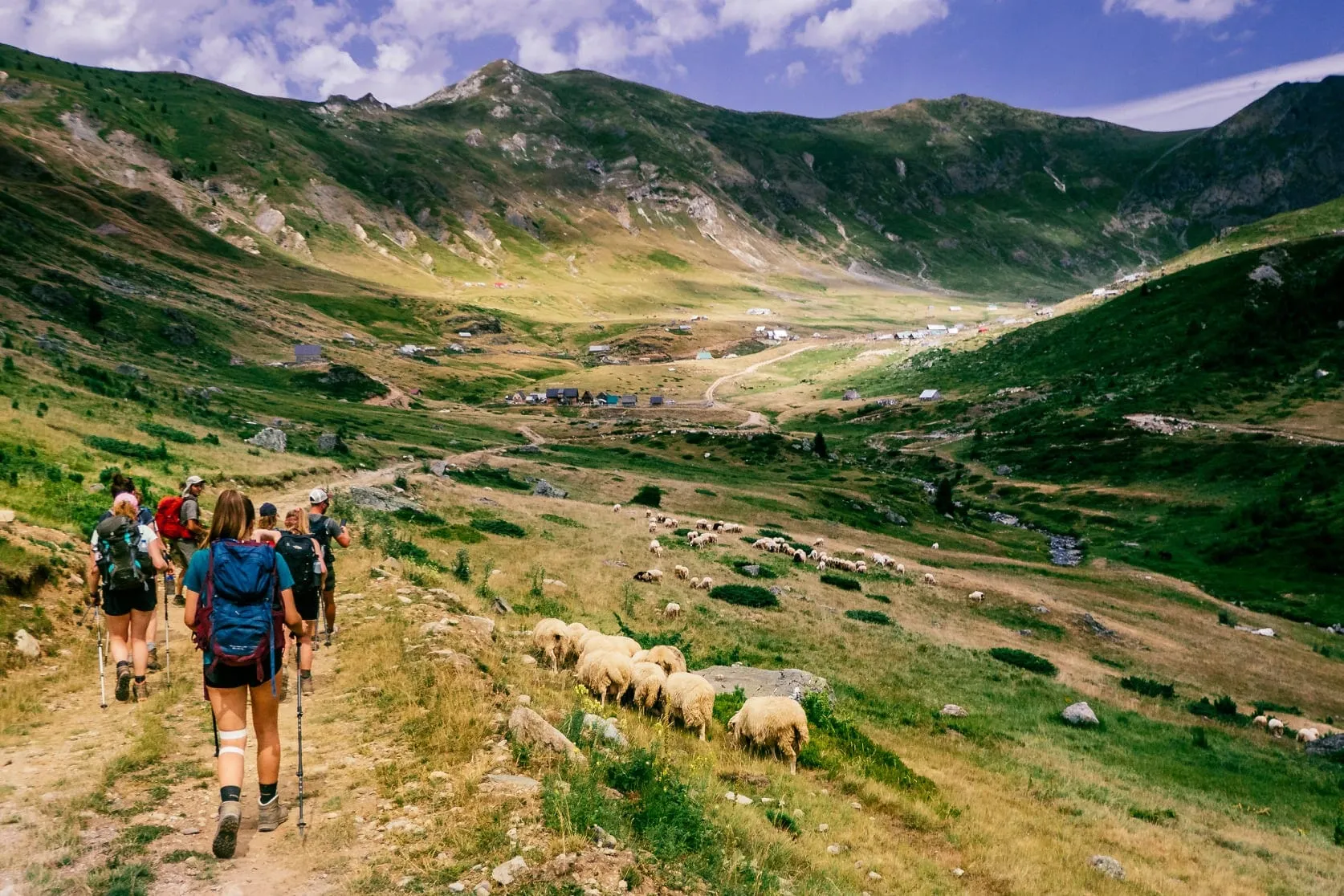 Un groupe de randonneurs sur un chemin de montagne poussiéreux croise un troupeau de moutons sur les alpages