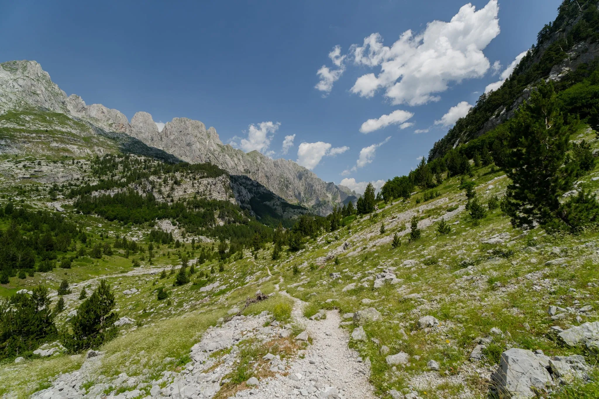 Un sentier de randonnée caillouteux traverse une vallée de montagne verdoyante, sous des sommets rocheux et un ciel bleu
